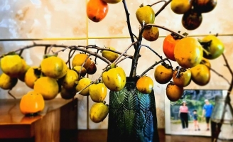 Cắt cành me rừng, bẻ nhánh táo mèo cắm chơi... mốt lạ 2021