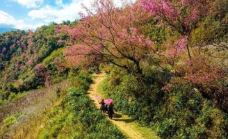 Đã sẵn sàng đón khách chơi Tết