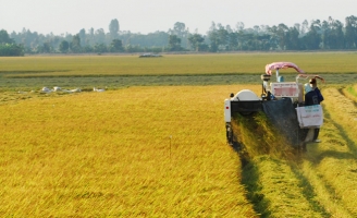 Hậu Giang kêu gọi doanh nghiệp đầu tư vào Lung Ngọc Hoàng